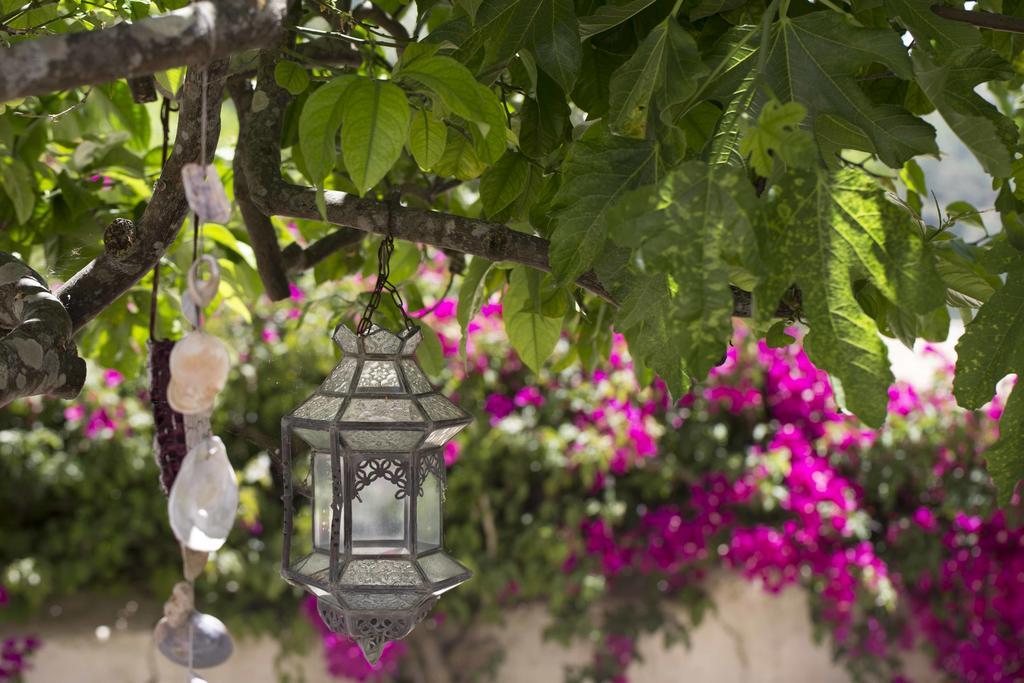 B&B Candelaria Corregos de Monte Seco Екстериор снимка